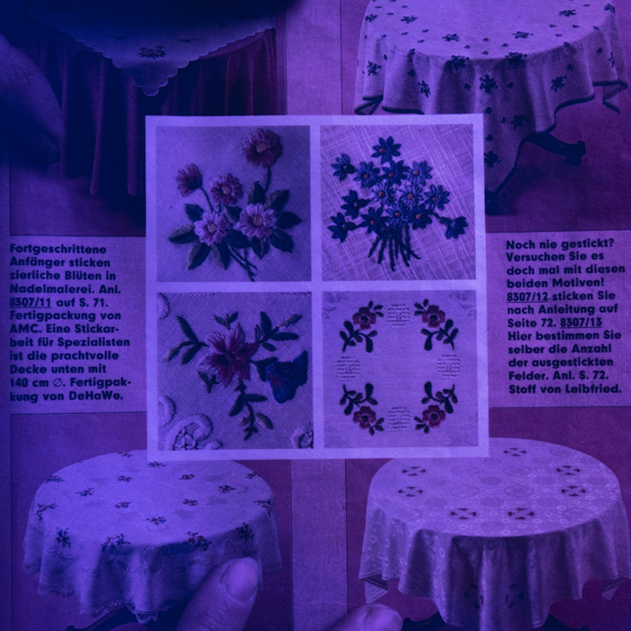 minerva_dn_1989_2967_reproduceri_002