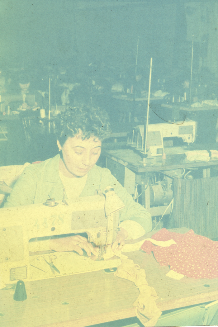 minerva_dn_1989_2969_fabrica_de_papusi_arad_009