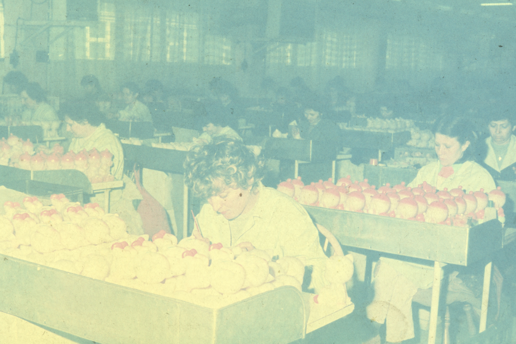 minerva_dn_1989_2969_fabrica_de_papusi_arad_011