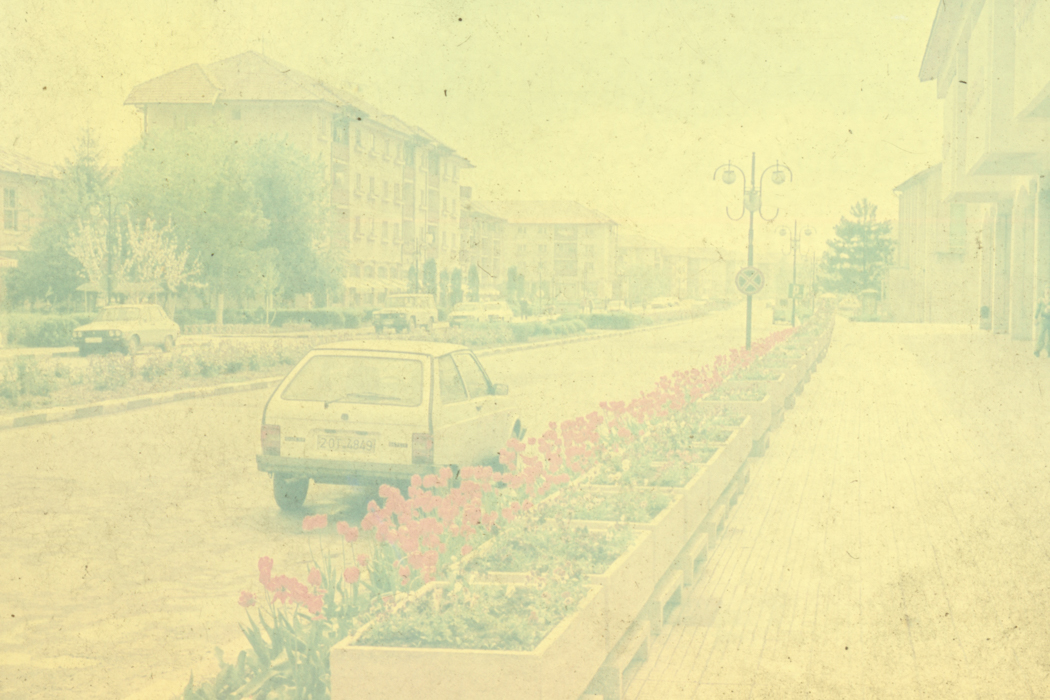 minerva_dn_1989_2971_sernicesti_001