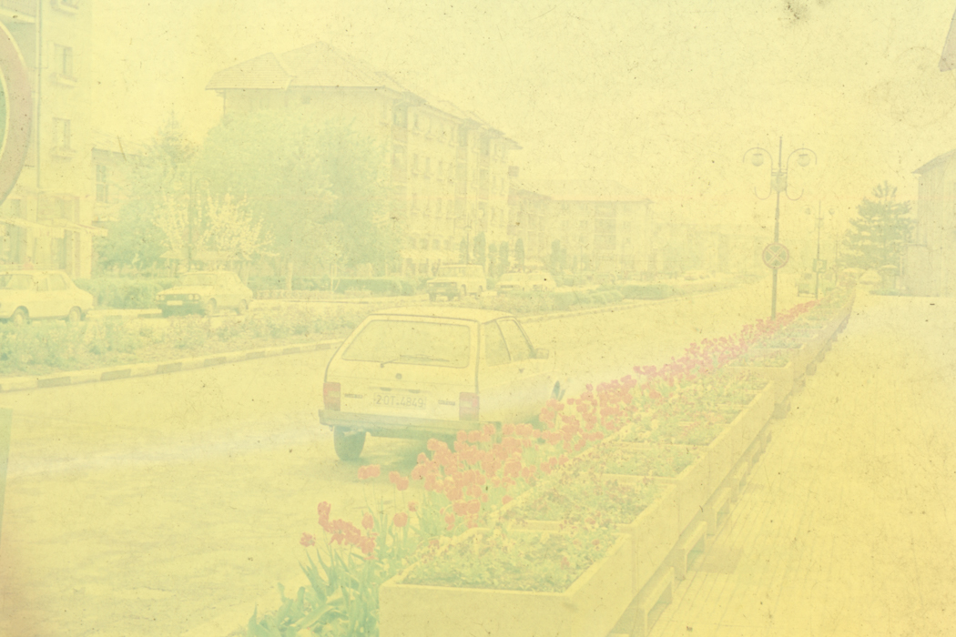 minerva_dn_1989_2971_sernicesti_002