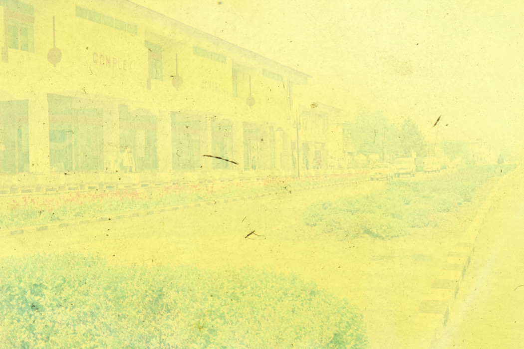 minerva_dn_1989_2971_sernicesti_003