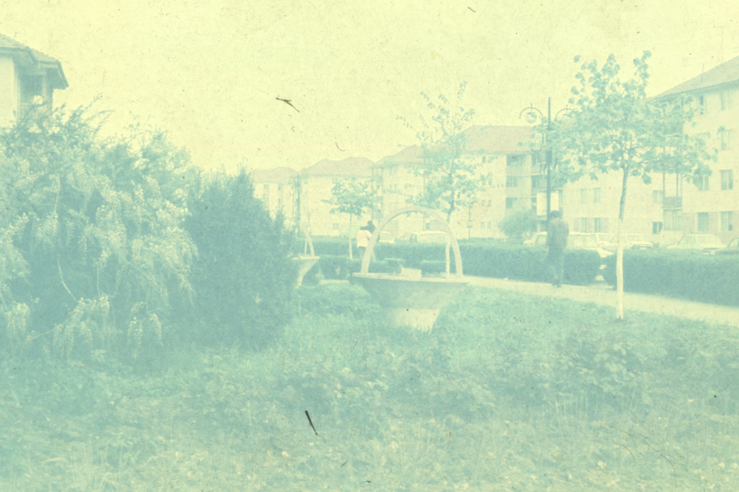 minerva_dn_1989_2971_sernicesti_005