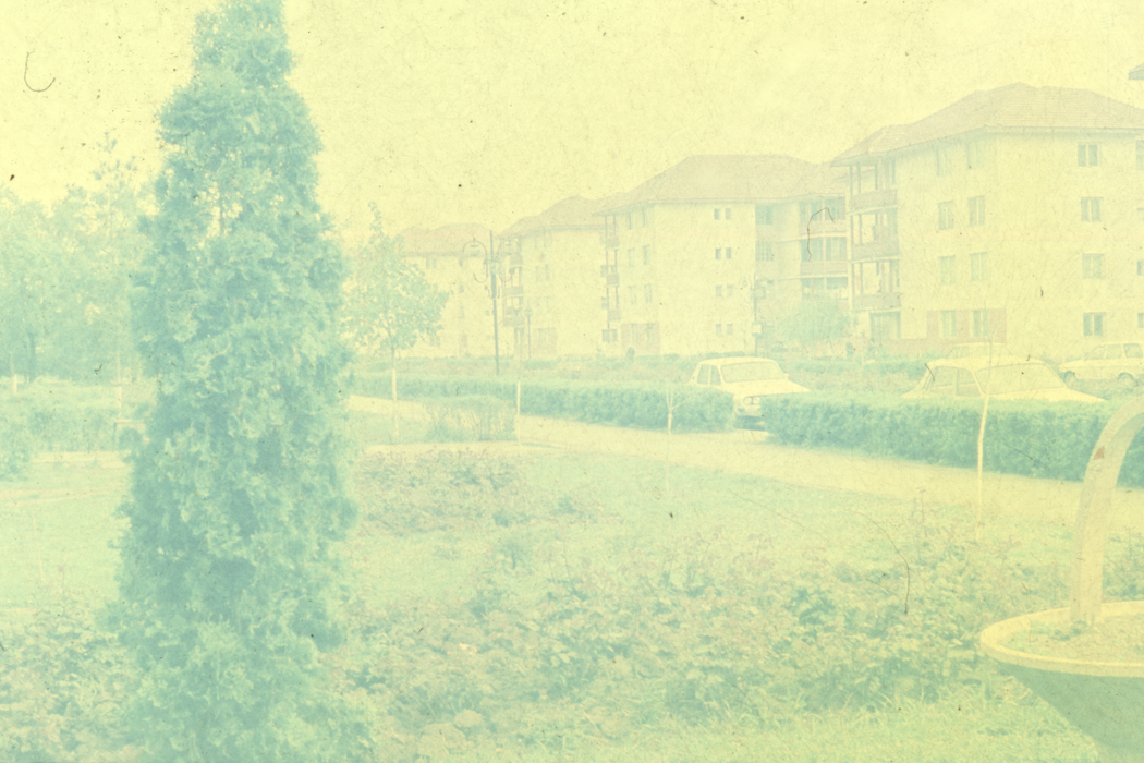 minerva_dn_1989_2971_sernicesti_009