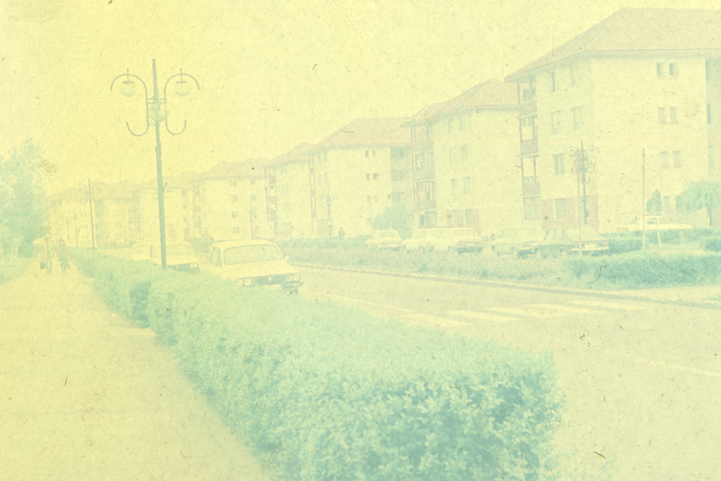 minerva_dn_1989_2971_sernicesti_010