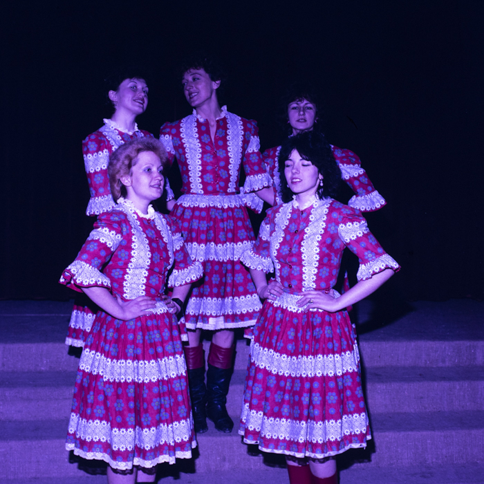 minerva_dn_1989_2974_casa_de_cultura_satu_mare001