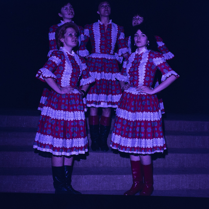 minerva_dn_1989_2974_casa_de_cultura_satu_mare002