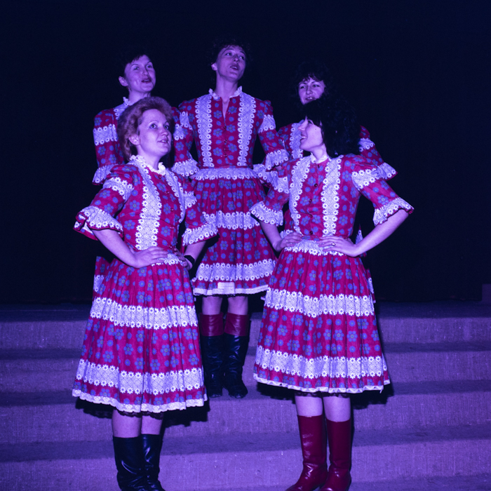 minerva_dn_1989_2974_casa_de_cultura_satu_mare003