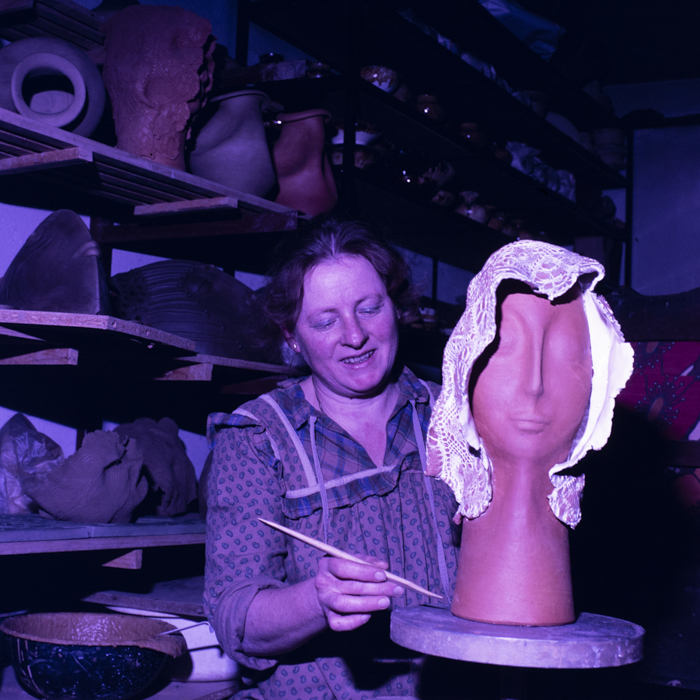 minerva_dn_1989_2975_artista_plastic_satu_mare_hinipi_005