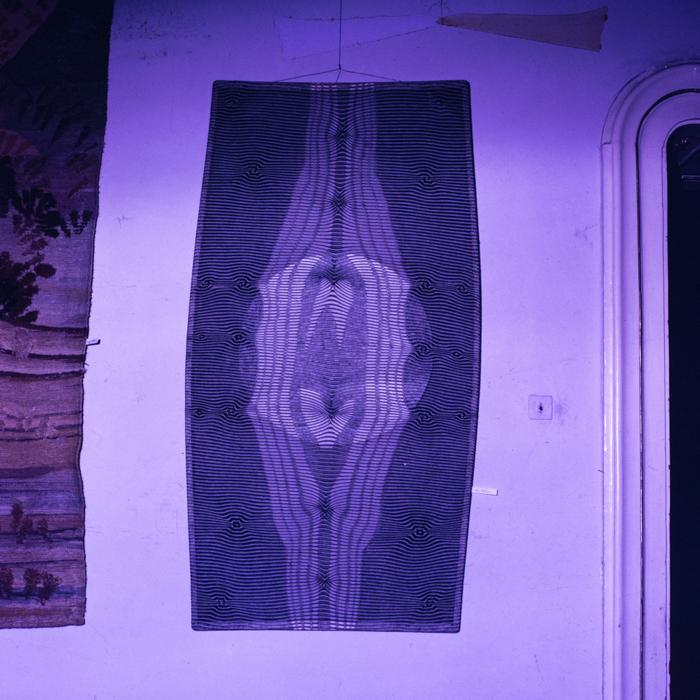 minerva_dn_1989_2976_reproduceri_002