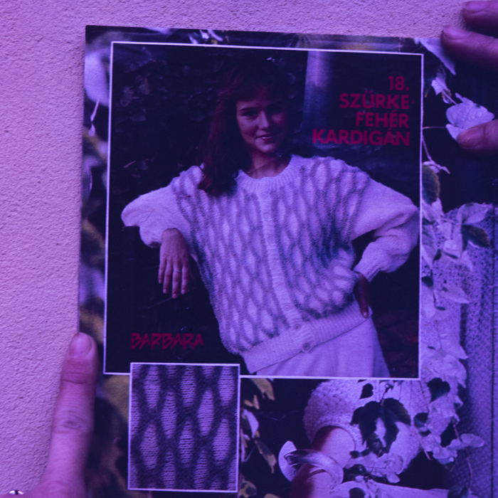 minerva_dn_1989_2976_reproduceri_007