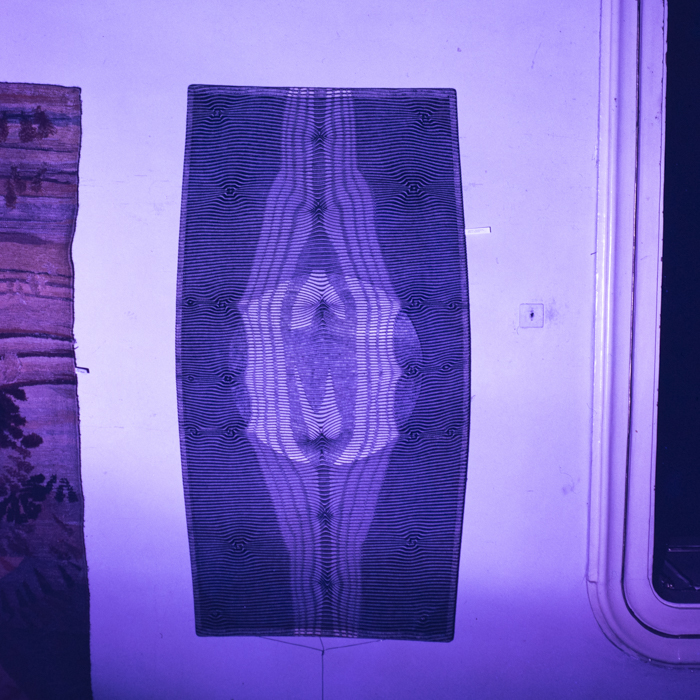 minerva_dn_1989_2976_reproduceri_008