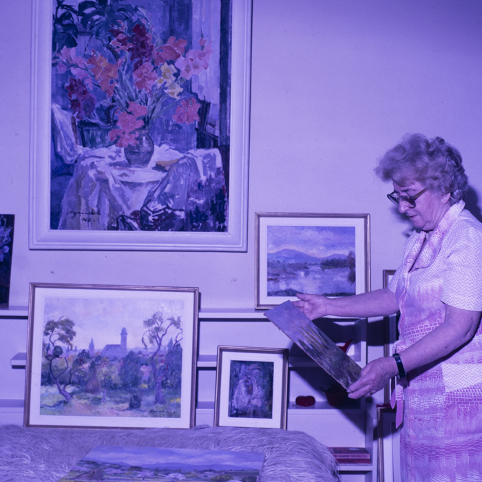 minerva_dn_1989_2981_plastica_baia_mare_lidia_agricola_001