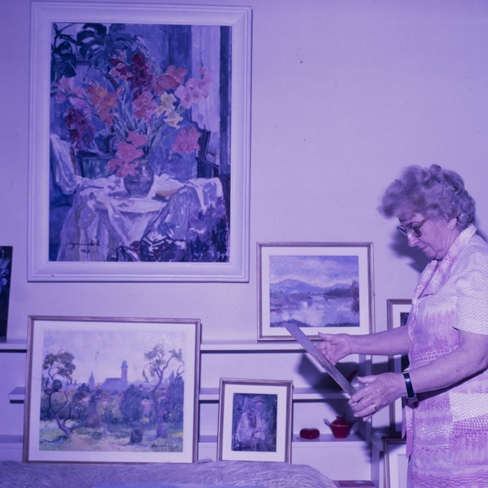 minerva_dn_1989_2981_plastica_baia_mare_lidia_agricola_002