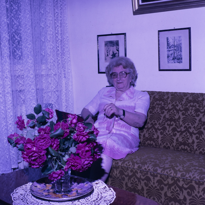 minerva_dn_1989_2981_plastica_baia_mare_lidia_agricola_004