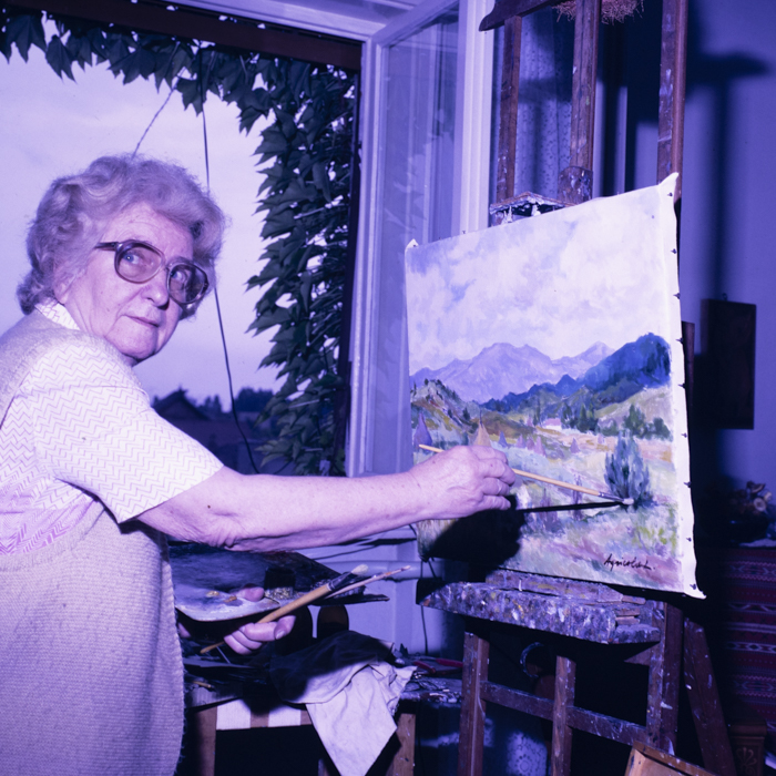 minerva_dn_1989_2981_plastica_baia_mare_lidia_agricola_005