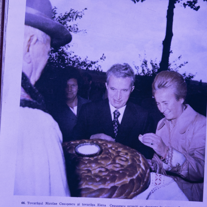 minerva_dn_1989_2985_scornicesti_repro_002