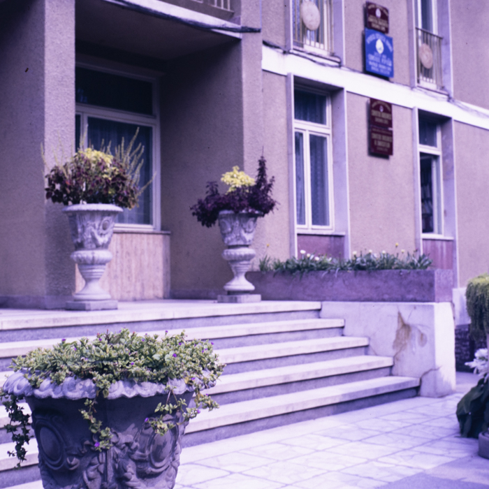 minerva_dn_1989_2991_chisineu_cris_003