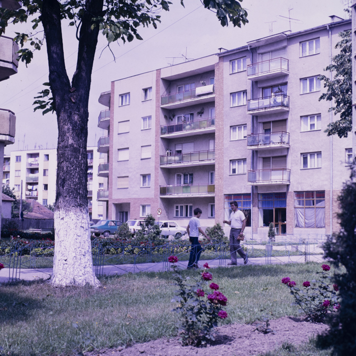 minerva_dn_1989_2991_chisineu_cris_004