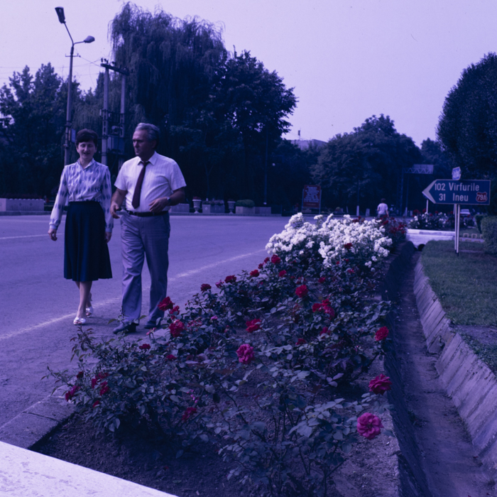 minerva_dn_1989_2991_chisineu_cris_007