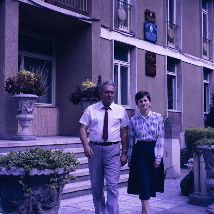 minerva_dn_1989_2991_chisineu_cris_008