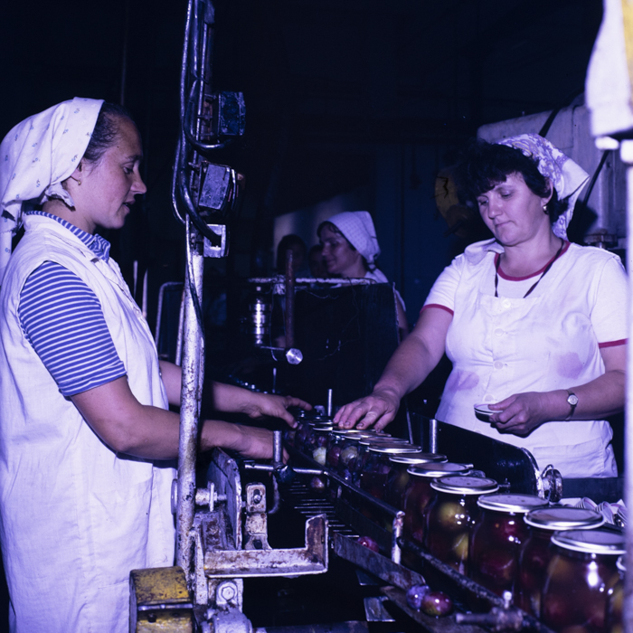 minerva_dn_1989_2991_chisineu_cris_013