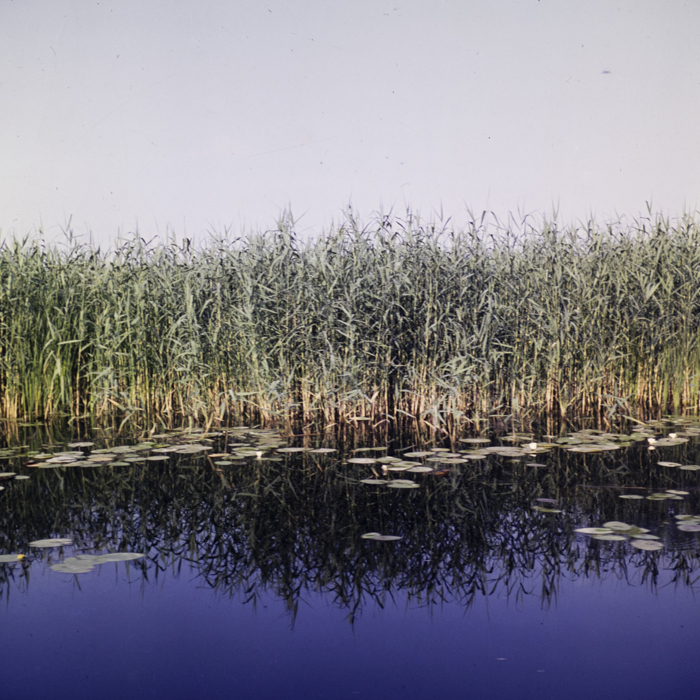 minerva_dn_1990_3008_tulcea_delta_002