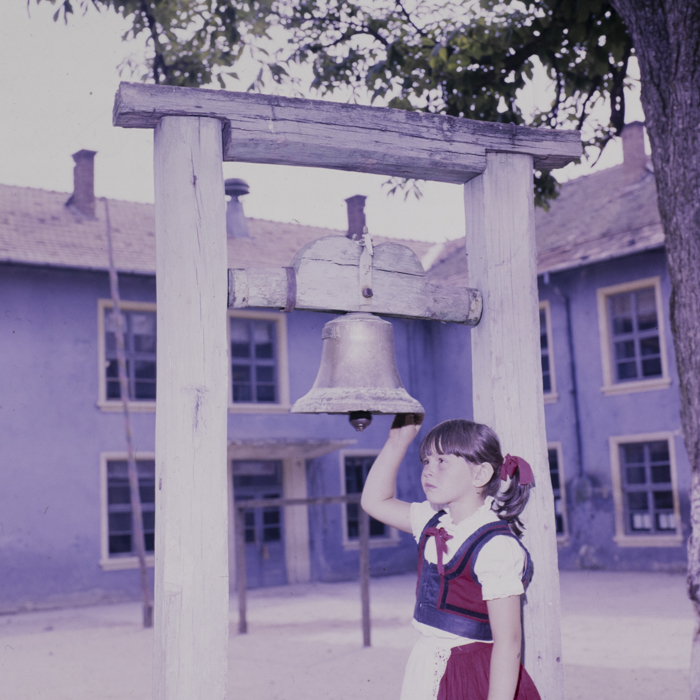 minerva_dn_1990_com_apata_jud_brasov_002