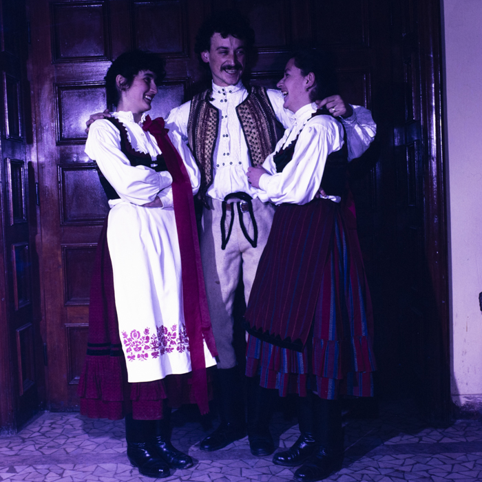 minerva_dn_1990_comuna_zetea_judetul_harghita_005