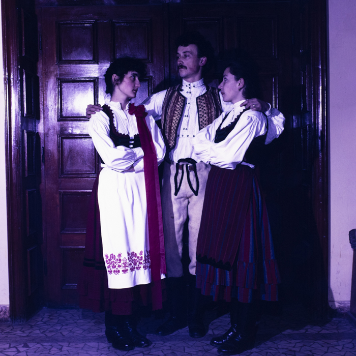 minerva_dn_1990_comuna_zetea_judetul_harghita_006