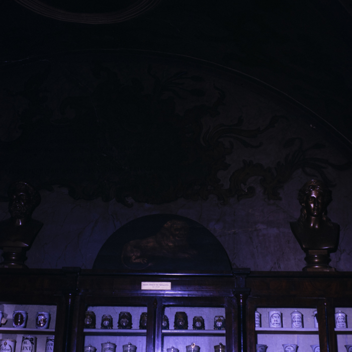 minerva_dn_1990_muzeu_cluj_004