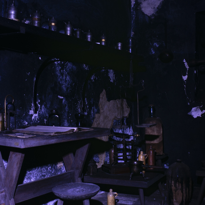 minerva_dn_1990_muzeu_cluj_012