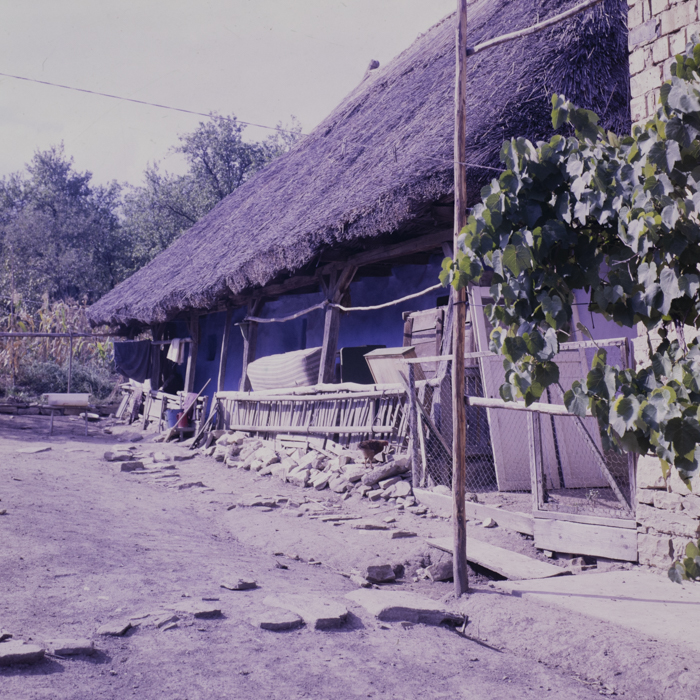 minerva_dn_1990_porturi_populare_sic_jud_cluj_002