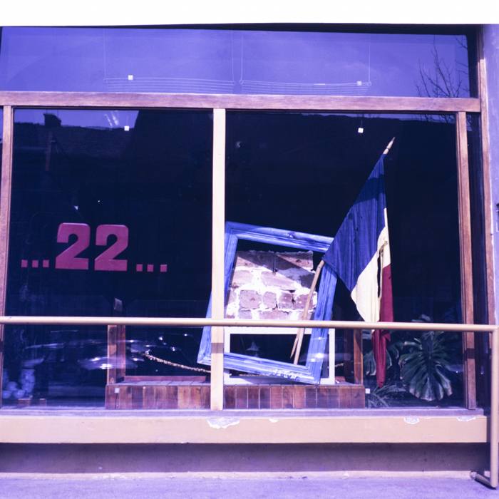 minerva_dn_1990_reproduceri_001