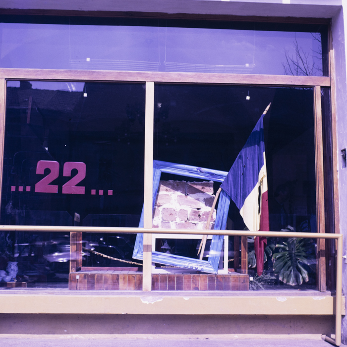 minerva_dn_1990_reproduceri_002