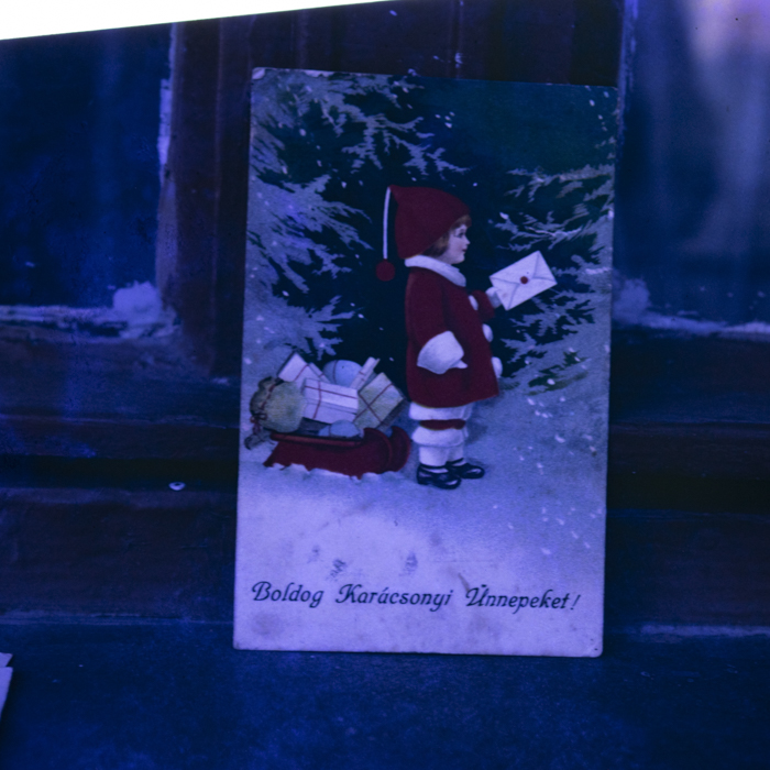 minerva_dn_1990_reproduceri_003