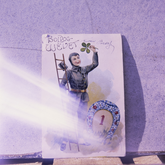 minerva_dn_1990_reproduceri_007