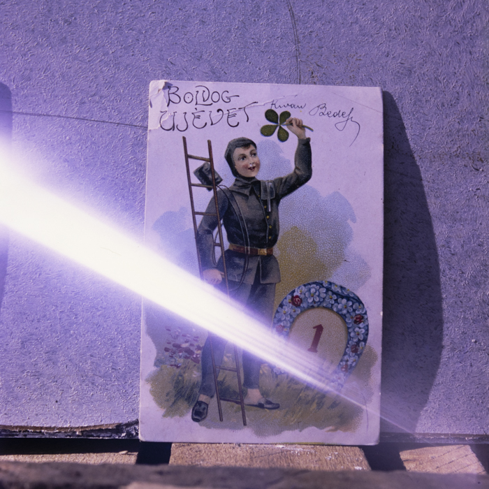 minerva_dn_1990_reproduceri_008