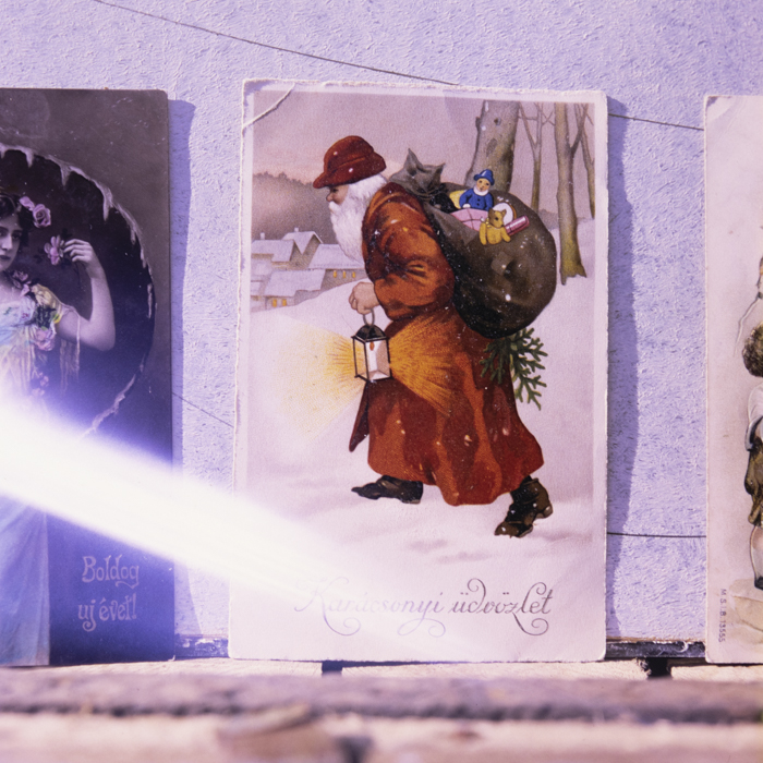 minerva_dn_1990_reproduceri_011