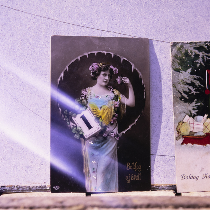 minerva_dn_1990_reproduceri_012