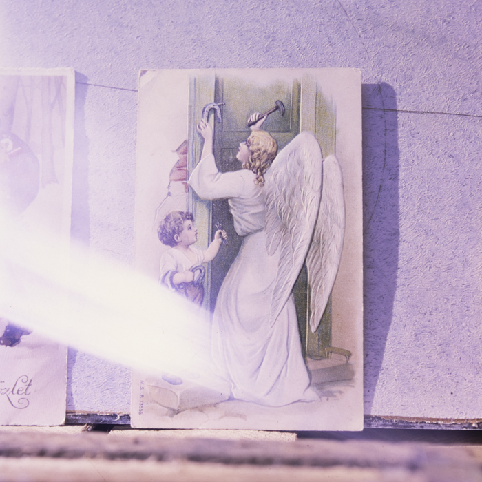 minerva_dn_1990_reproduceri_013