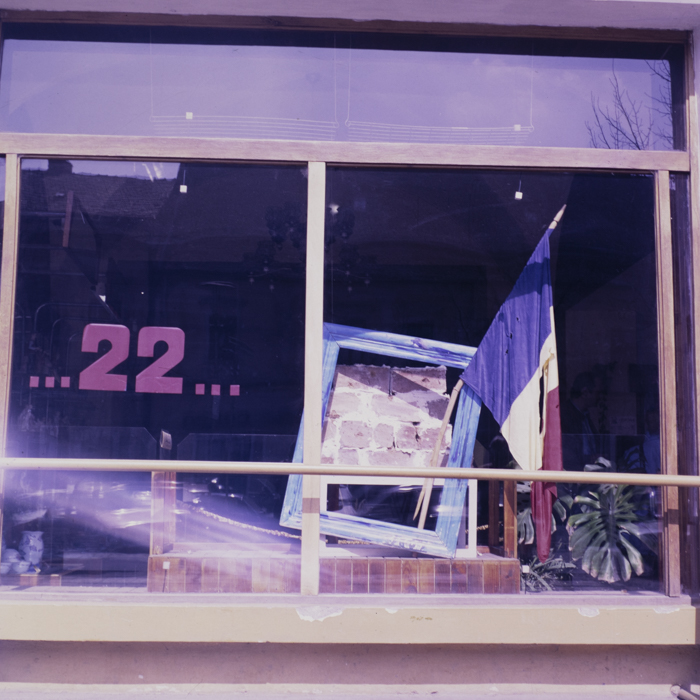 minerva_dn_1990_reproduceri_015