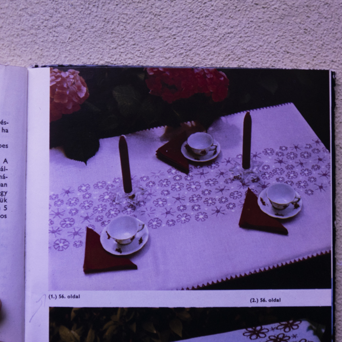 minerva_dn_1990_reproduceri_2_005