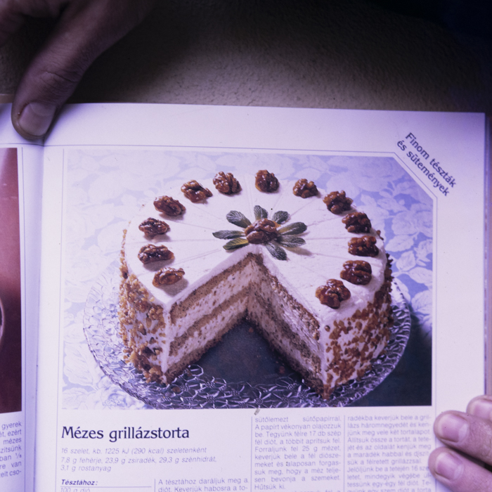 minerva_dn_1990_reproduceri_2_008