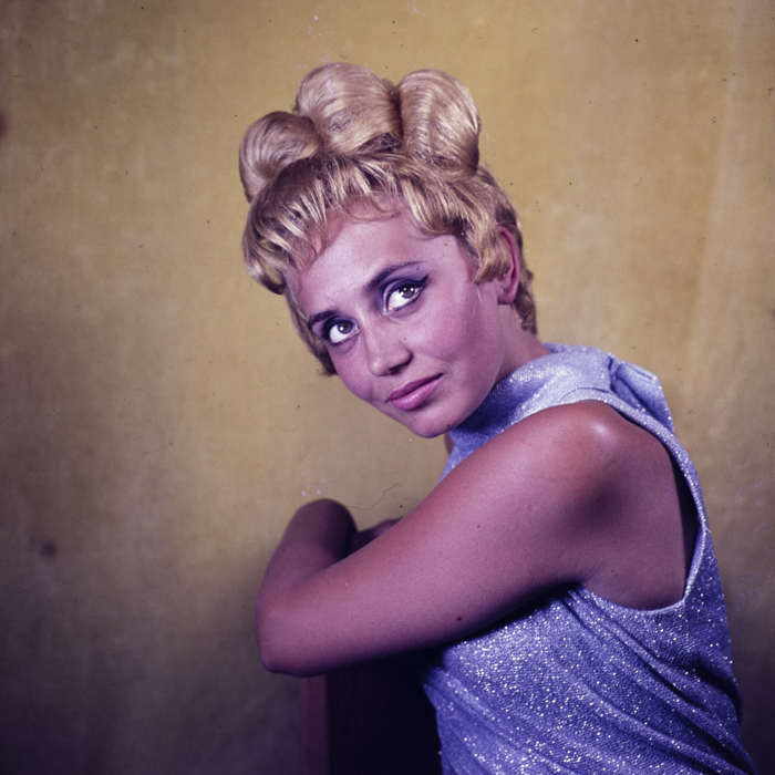 minerva_dn_204_oss_eniko_021