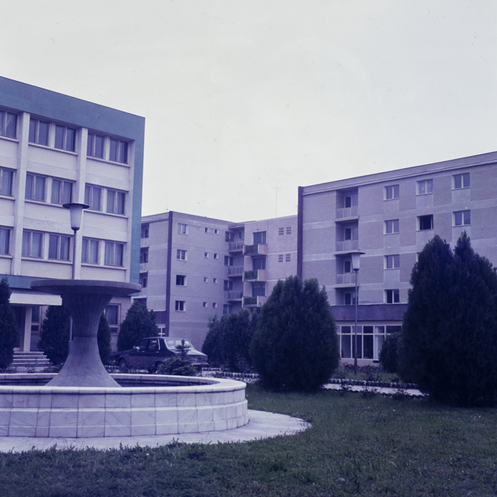 minerva_dn_2324_aspecte_003