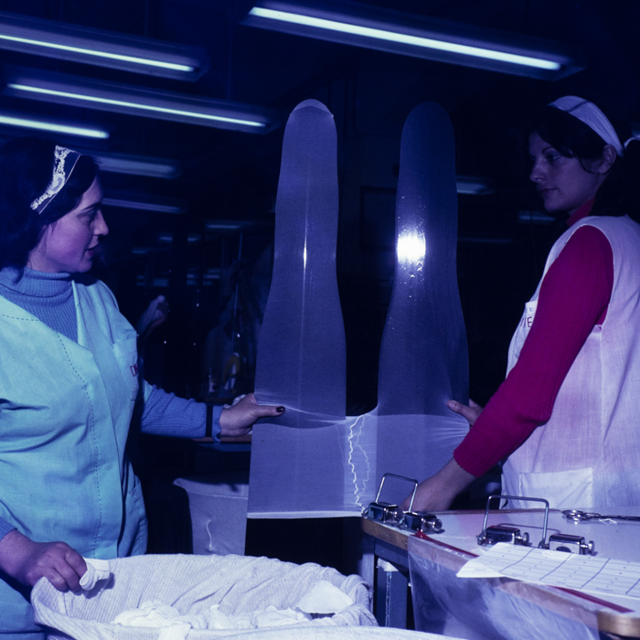 minerva_dn_2324_aspecte_004