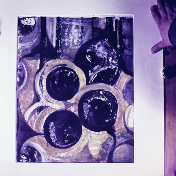 minerva_dn_260_reproduceri_001