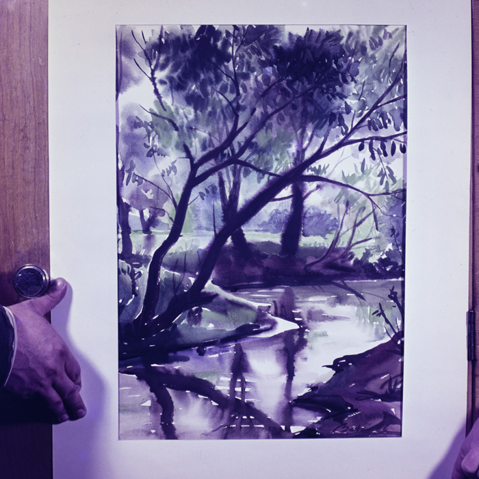 minerva_dn_260_reproduceri_003