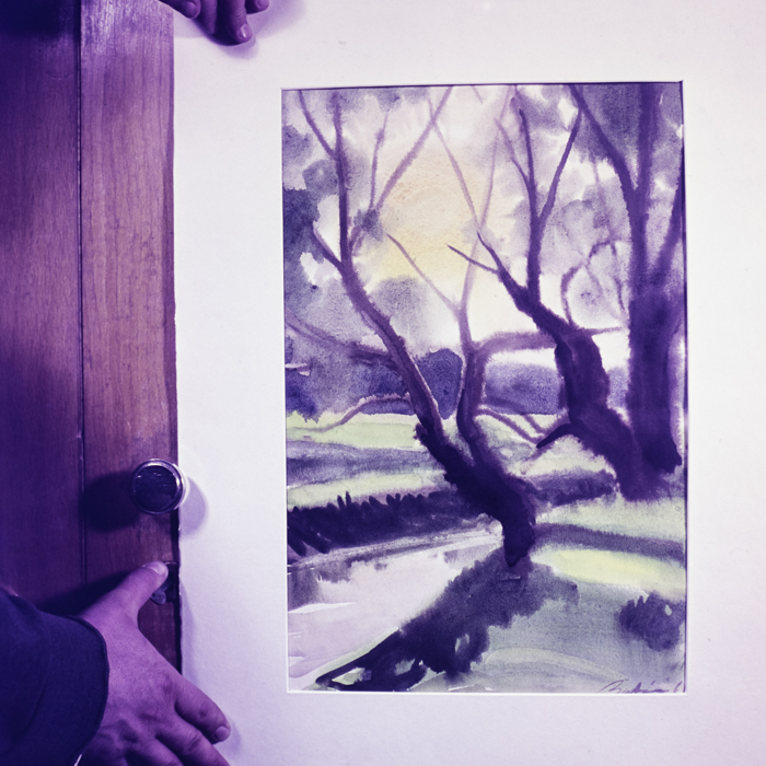 minerva_dn_260_reproduceri_005